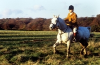 Picture of member of hunt staff of vale of aylesbury hunt with mustard coloured coat