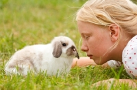Picture of mini lop rabbit with girl