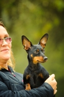 Picture of Miniature Pinscher with owner
