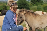 Picture of miniature shetland pony foal foal and young lady giving him attention