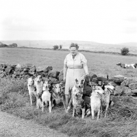 Picture of miss e dundas mouat with her smooth collies near her home