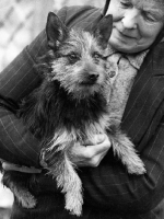 Picture of Miss Swyer holding her Australian Terrier