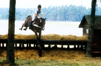 Picture of nils haagensen, denmark,  riding monaco in cross country phase at luhmuhlen