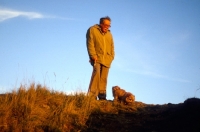 Picture of norfolk terrier and man walking at sunset