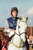 Picture of one thoroughbred horse ridden in paddock