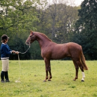 Picture of owner jennie loriston-clarke with riding pony
