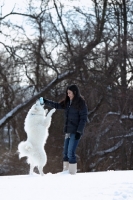 Picture of owner playing with Samoyed dog in snow