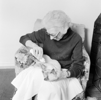 Picture of owner putting powder on cat