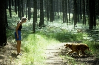 Picture of owner talking to golden retriever on a forest walk