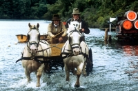 Picture of pair of welsh cobs at water during driving competition at windsor