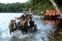 Picture of pair of welsh ponies at the water in driving competition