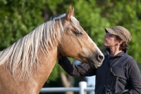 Picture of Palomino Quarter horse with man