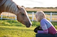 Picture of Palomino Quarter horse with woman