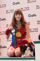 Picture of Papillion on podium at YKC Crufts ring 2012 after placing 2nd in Dogstable course.