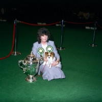 Picture of papillon, reserve best in show at crufts1991 with owner  jenny scovell, ch caswell copper tiger