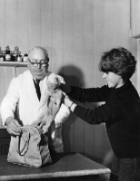 Picture of PDSA dispensary at Walthamstow, woman with ferret
