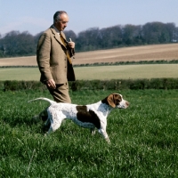 Picture of pointer working with handler
