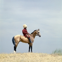 Picture of polotli, famous akhal teke stallion with lone rider in traditional turkomen clothing 