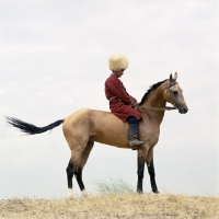 Picture of polotli, famous akhal teke stallion,  turkmen rider in traditional clothes