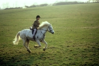 Picture of pony cantering with a young rider  