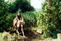 Picture of pony club member riding a cross country course
