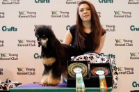 Picture of Poodle and young owner on podium after winning grooming competition at Crufts 2012