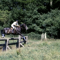 Picture of princess anne riding goodwill at cirencester 3 day event 1975, cross country, 