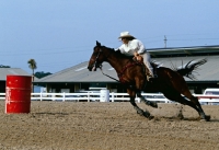 Picture of quarter horse barrel racing in usa