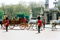 Picture of Queen Elizabeth in her carriage