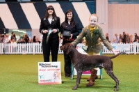 Picture of "Morgan" ShCh Kavacanne Toff at the Top JW and handler posing for photos after a win in their handling category at Crufts 2012 with judge.