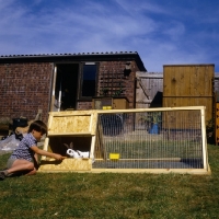 Picture of rabbit in morant run with child