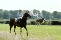 Picture of racehorses and jockeys riding at goodwood