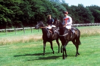 Picture of racehorses and jockeys riding at goodwood
