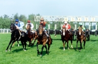 Picture of racing at ascot in 1982 with starting stalls in background