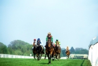 Picture of racing at ascot