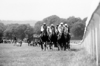 Picture of racing at epsom