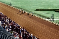 Picture of racing at keeneland, kentucky, usa
