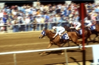 Picture of racing at keeneland, usa