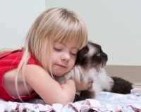 Picture of ragdoll being cared for by a girl