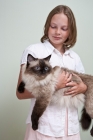 Picture of ragdoll being held by a girl