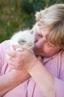 Picture of Ragdoll kitten being cuddle by a woman