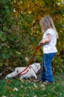 Picture of ragdoll with girl