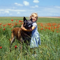 Picture of red and helen, girl hugging malinois