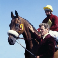 Picture of red rum, famous grand national winner, celebrity appearance at a show, handler patting him