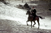 Picture of rider in landscape