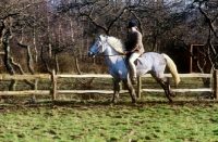 Picture of rider on pony cantering