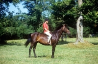 Picture of rider riding a dartmoor pony