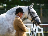 Picture of rider with his cob