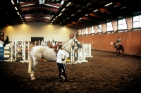 Picture of riders and horses in olympic riding school at warendorf, germany