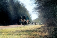 Picture of riders on horses hunting in france